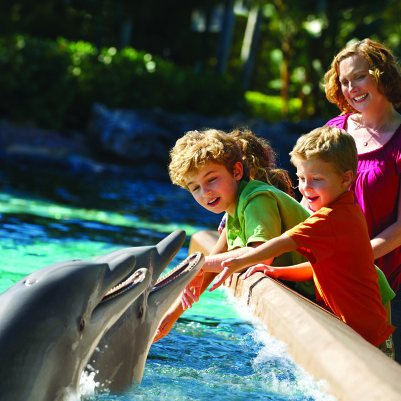 San Diego Zoo vs SeaWorld - Compare Major Differences